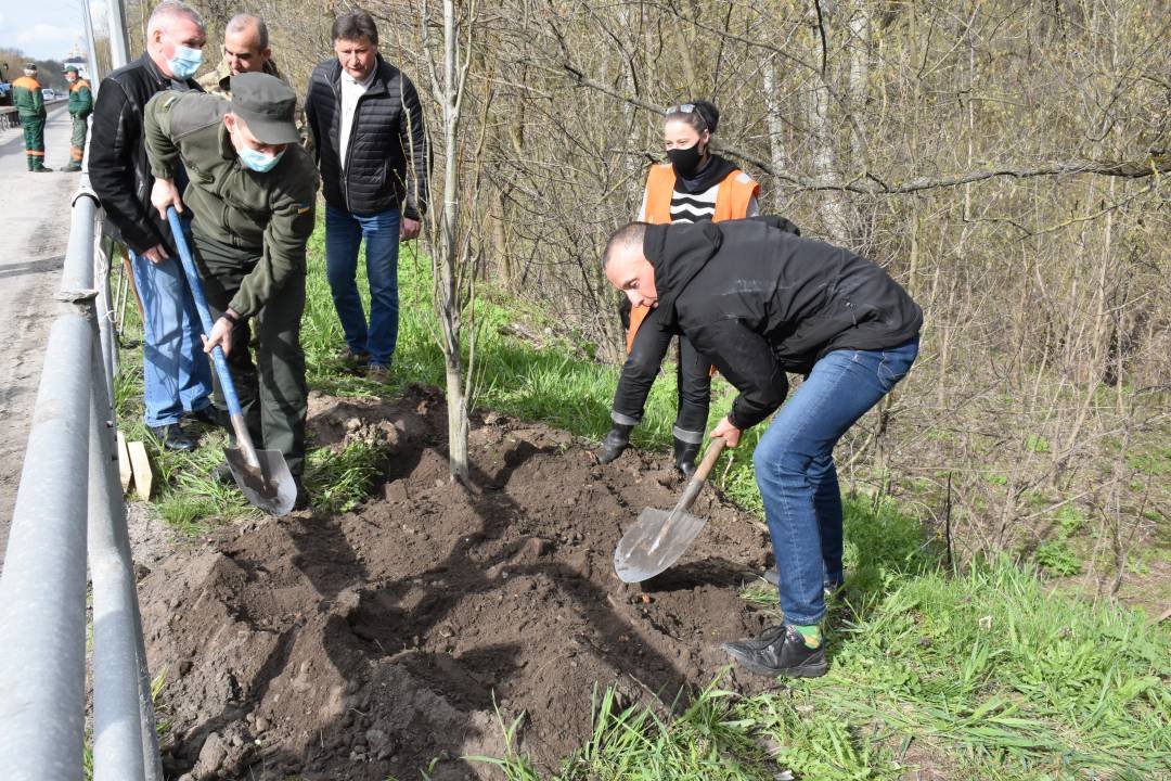 Пам'яті загиблих чернігівців на сході України: на в'їзді до Чернігова висадили дубову алею