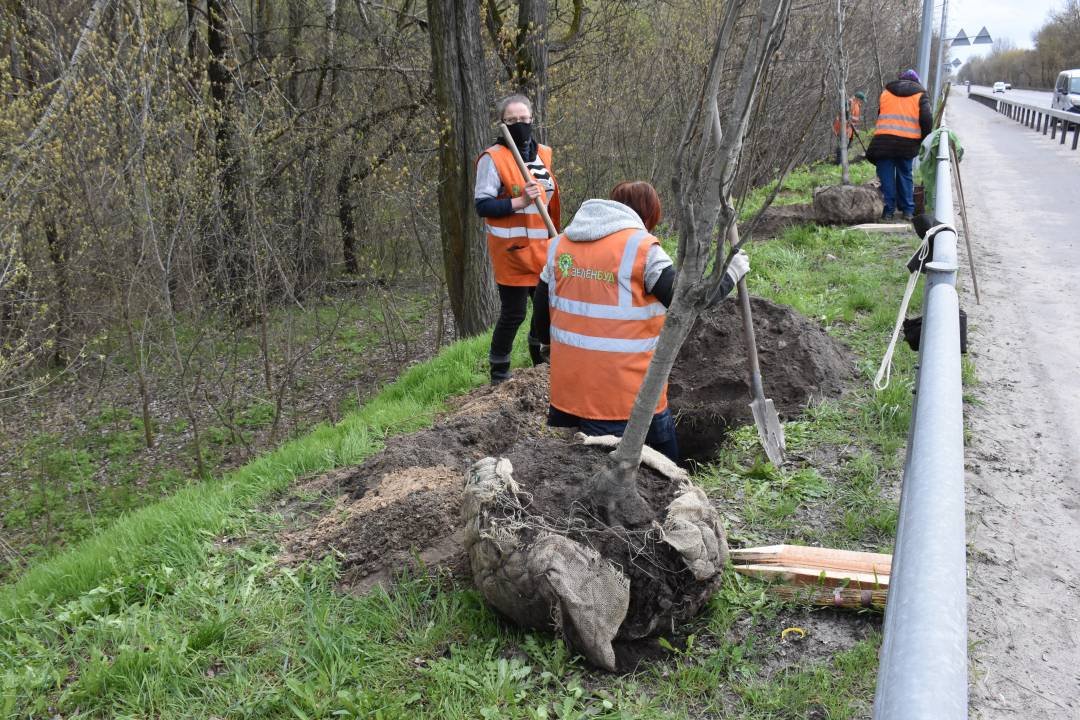 Пам'яті загиблих чернігівців на сході України: на в'їзді до Чернігова висадили дубову алею, фото-3