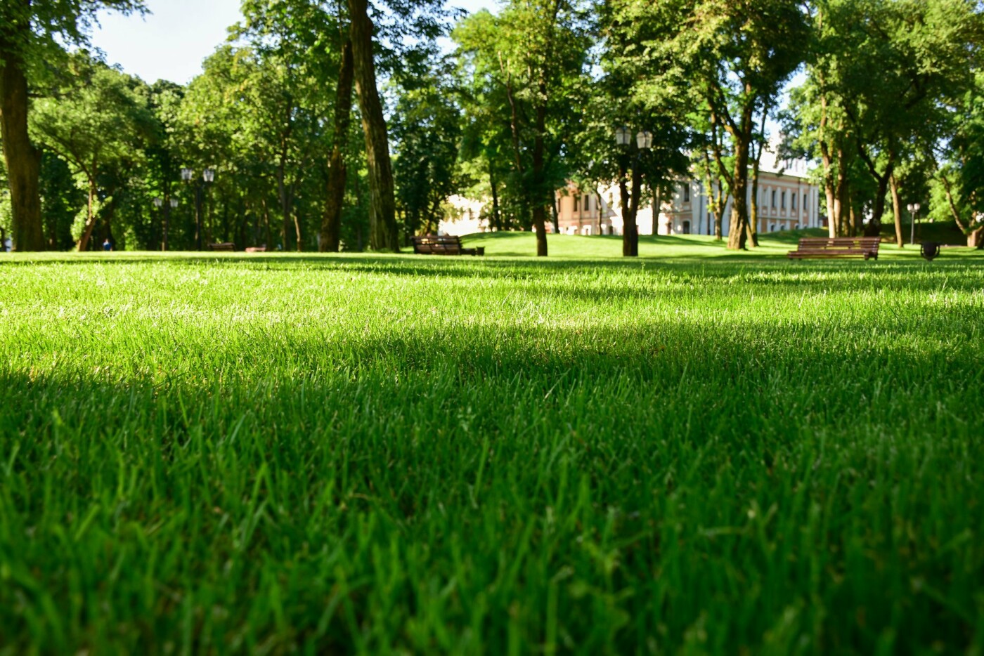 Чернігів перетворює територію стародавнього Дитинця на парк європейського рівня, фото-13