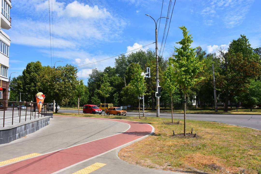 Комфортне місто: у Чернігові облаштовано більше 40 км велодоріжок, фото-1