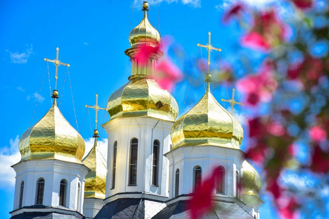 Площу біля Катерининської церкви прикрасили квітами (ФОТО), фото-7