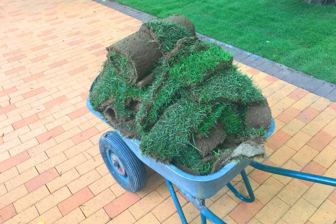 Вал у Чернігові: вкладають газон та встановлюють ліхтарі (ФОТОРЕПОРТАЖ), фото-8