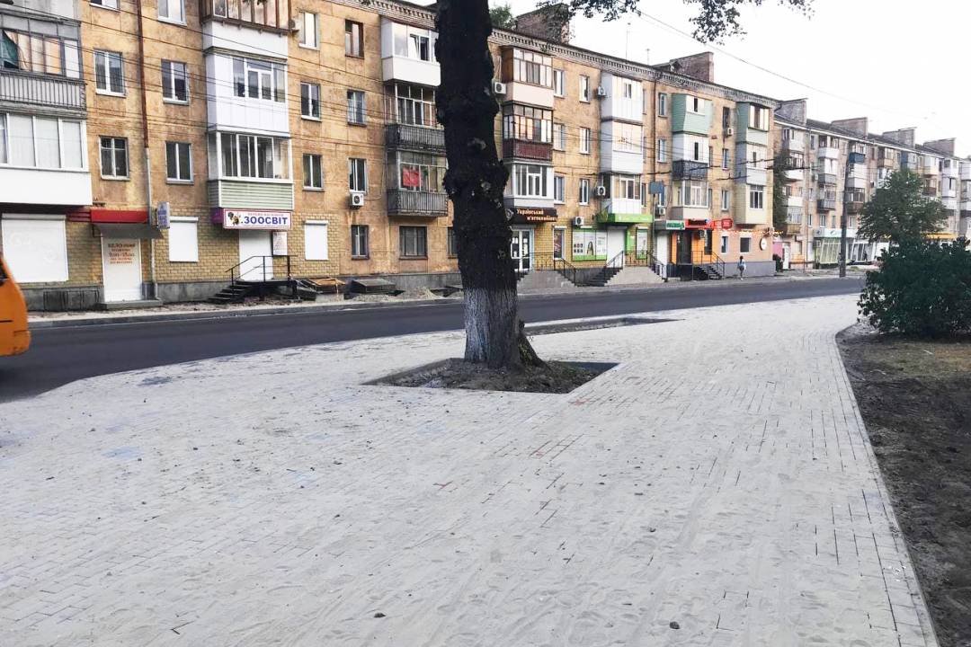 Вулиця Шевченка. Роблять тротуари і не забувають про дерева. Скільки планують висадити? (СВІЖІ ФОТО), фото-2