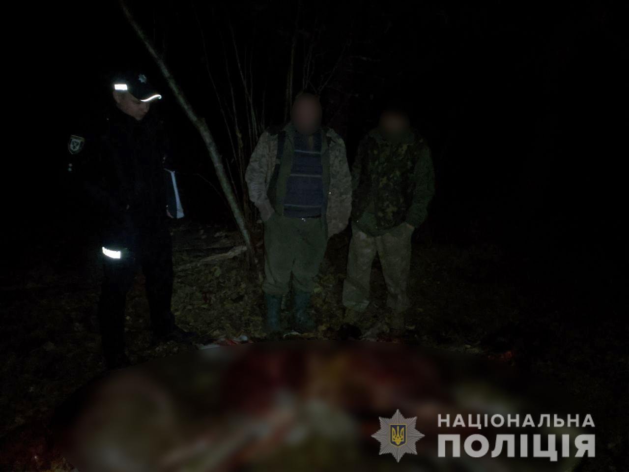 На Чернігівщині вбили лося. Один з браконьєрів помер, тікаючи від лісників