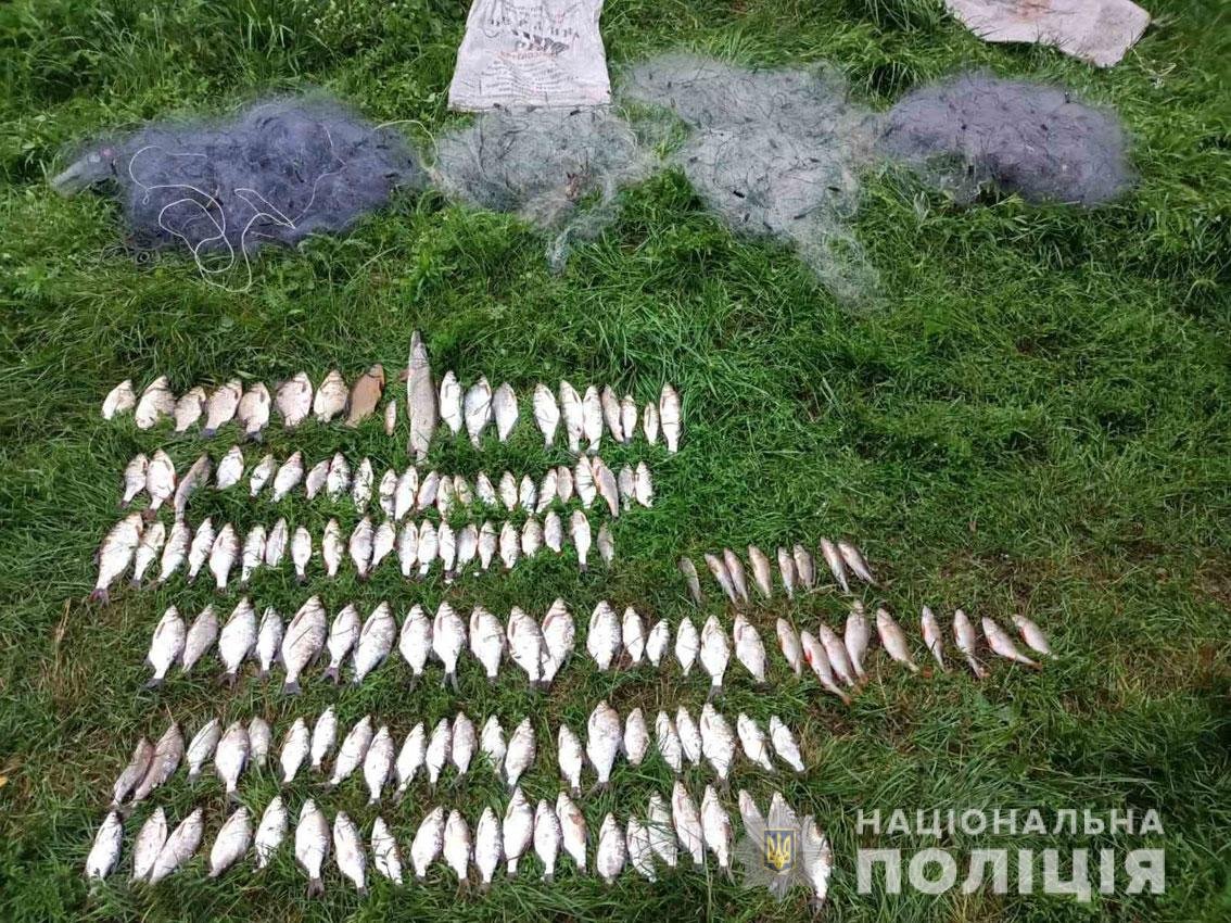 На Чернігівщині браконьєр наловив риби на понад 200 тисяч гривень