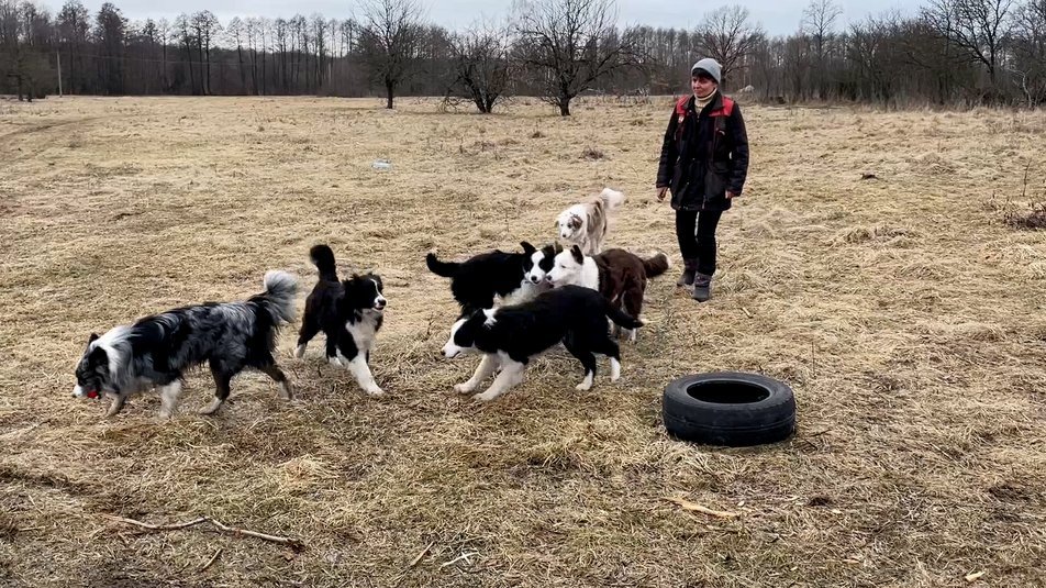 Любов тренує собак, ФОТО: Суспільне Чернігів