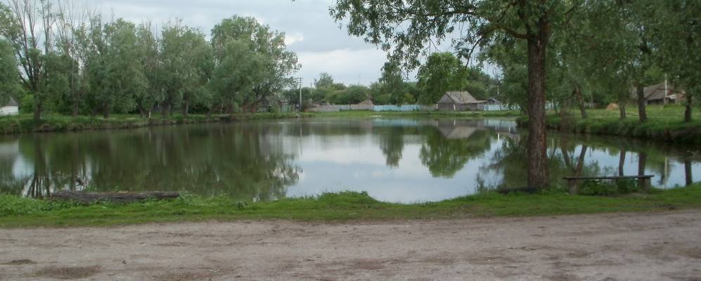 Село Чисті Лужі