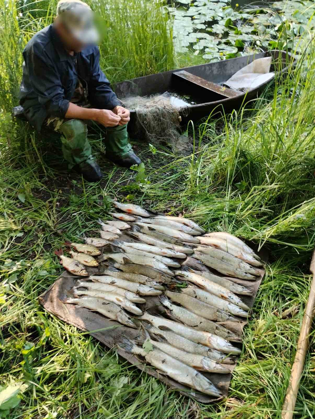 Браконьєр з Чернігівщини наловив риби на понад 100 тисяч гривень