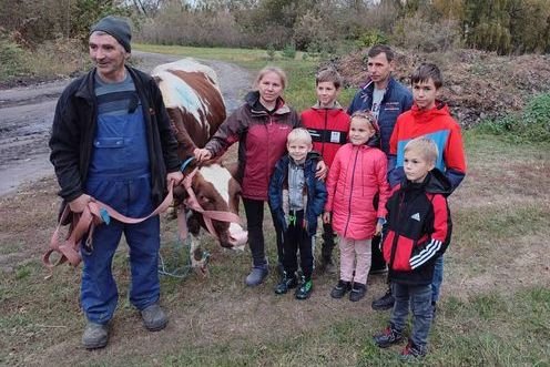На Чернігівщині дві багатодітні родини отримали молодих корівок, фото-3