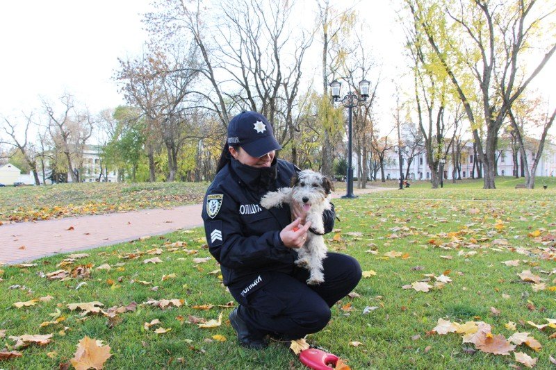 Шукатимуть вибухівку та допомагатимуть у розмінуванні: поліція Чернігівщини отримала чотирилапе поповнення