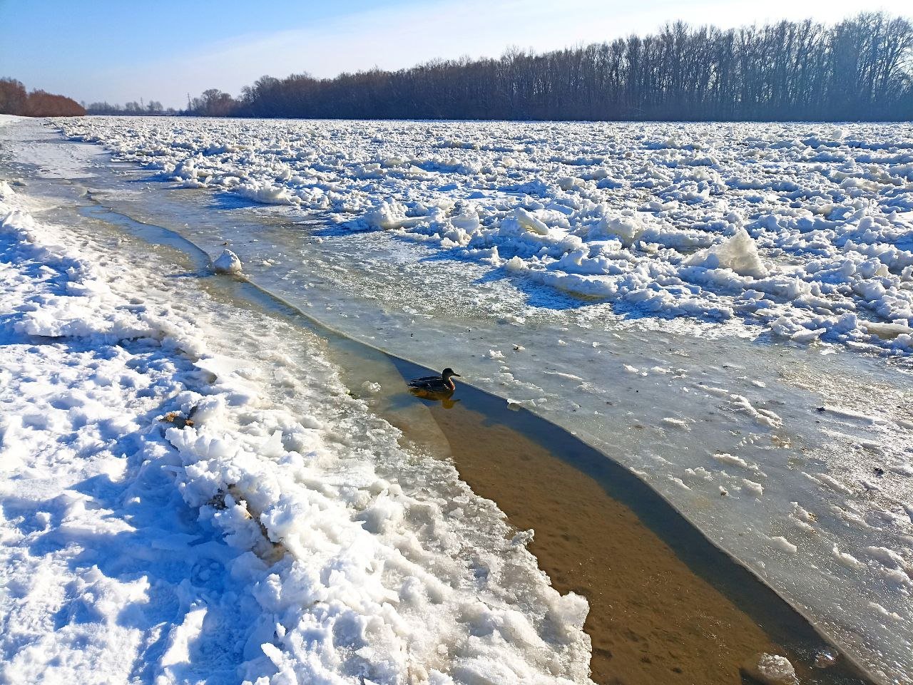 Річку Десна у Чернігові покрили крижані тороси