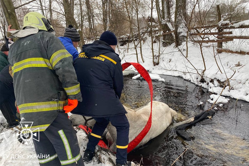 Рятувальники витягують з річки коня