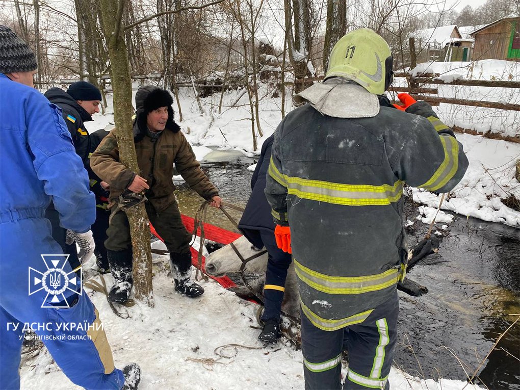 Рятувальники витягують з річки коня