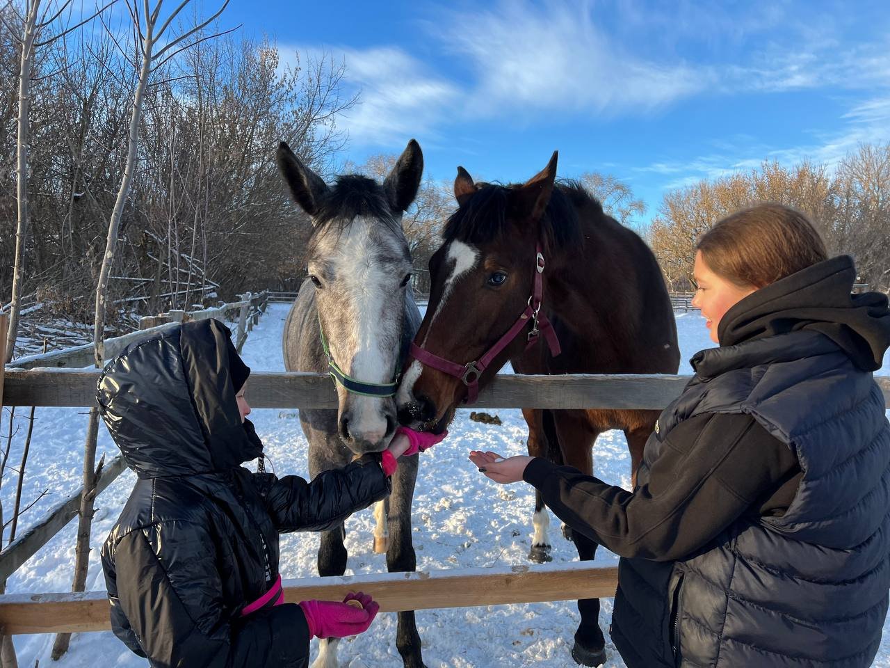 Відвідувачі