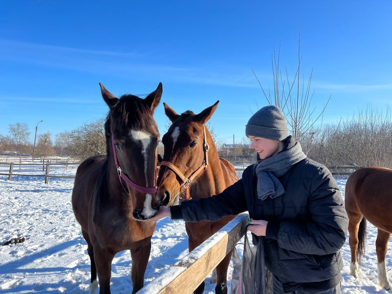 Відвідувачі