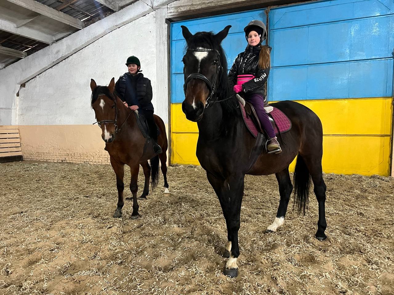 Відвідувачі