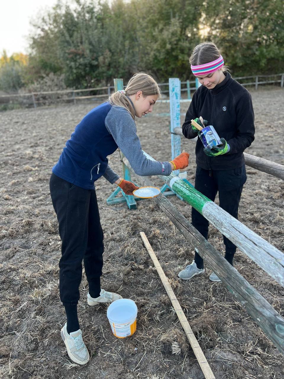 Відновлення кінного клубу