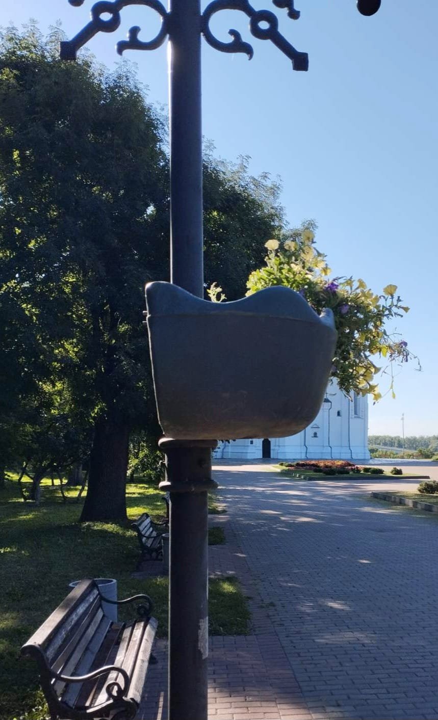 Спаплюжені квіти