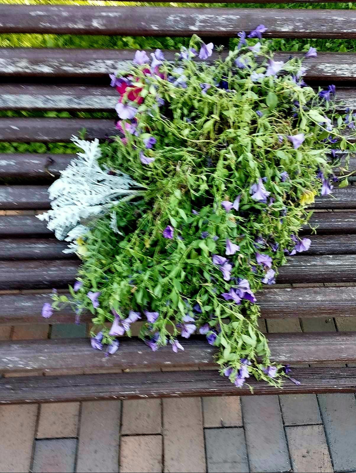 Спаплюжені квіти