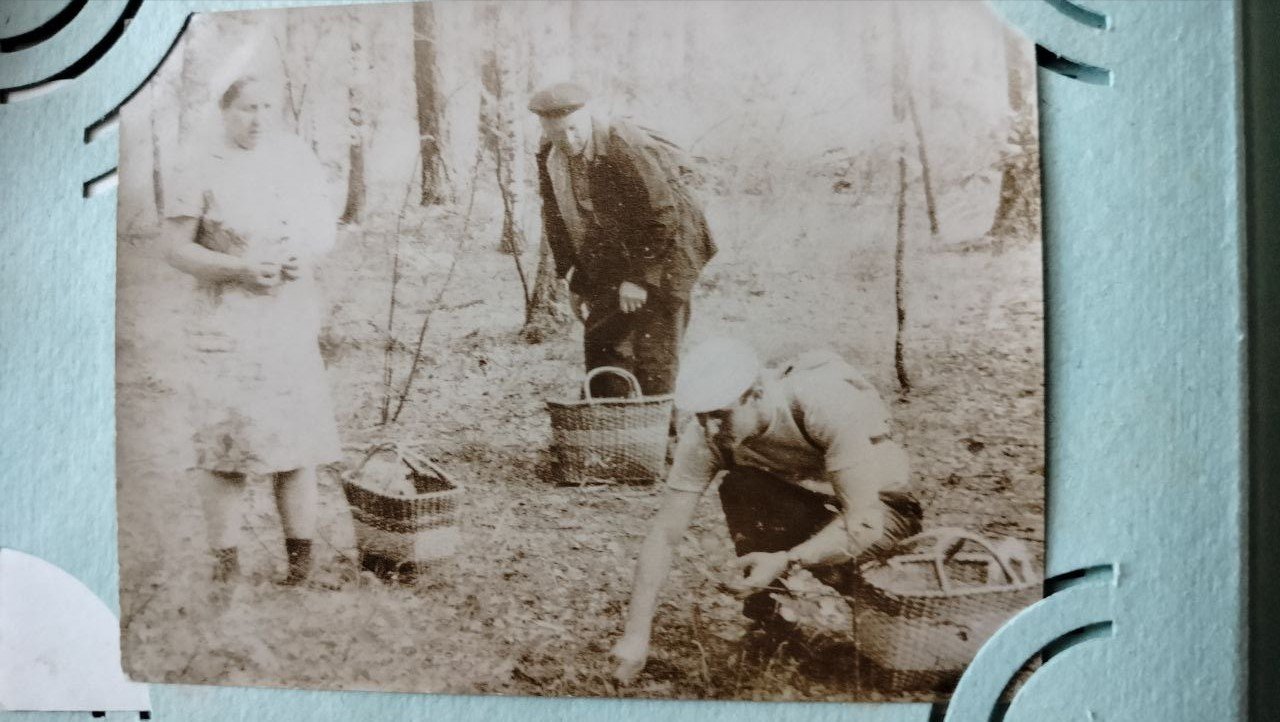 Похід на Подісівку по гриби