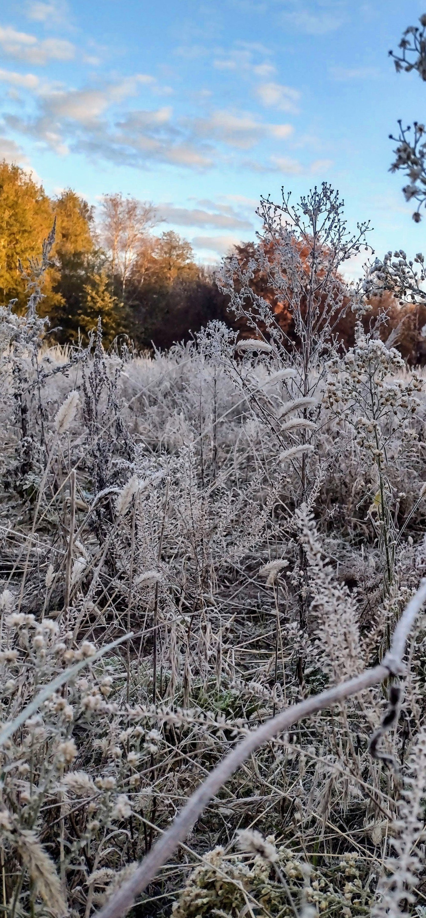 Холодний ранок Корюківки