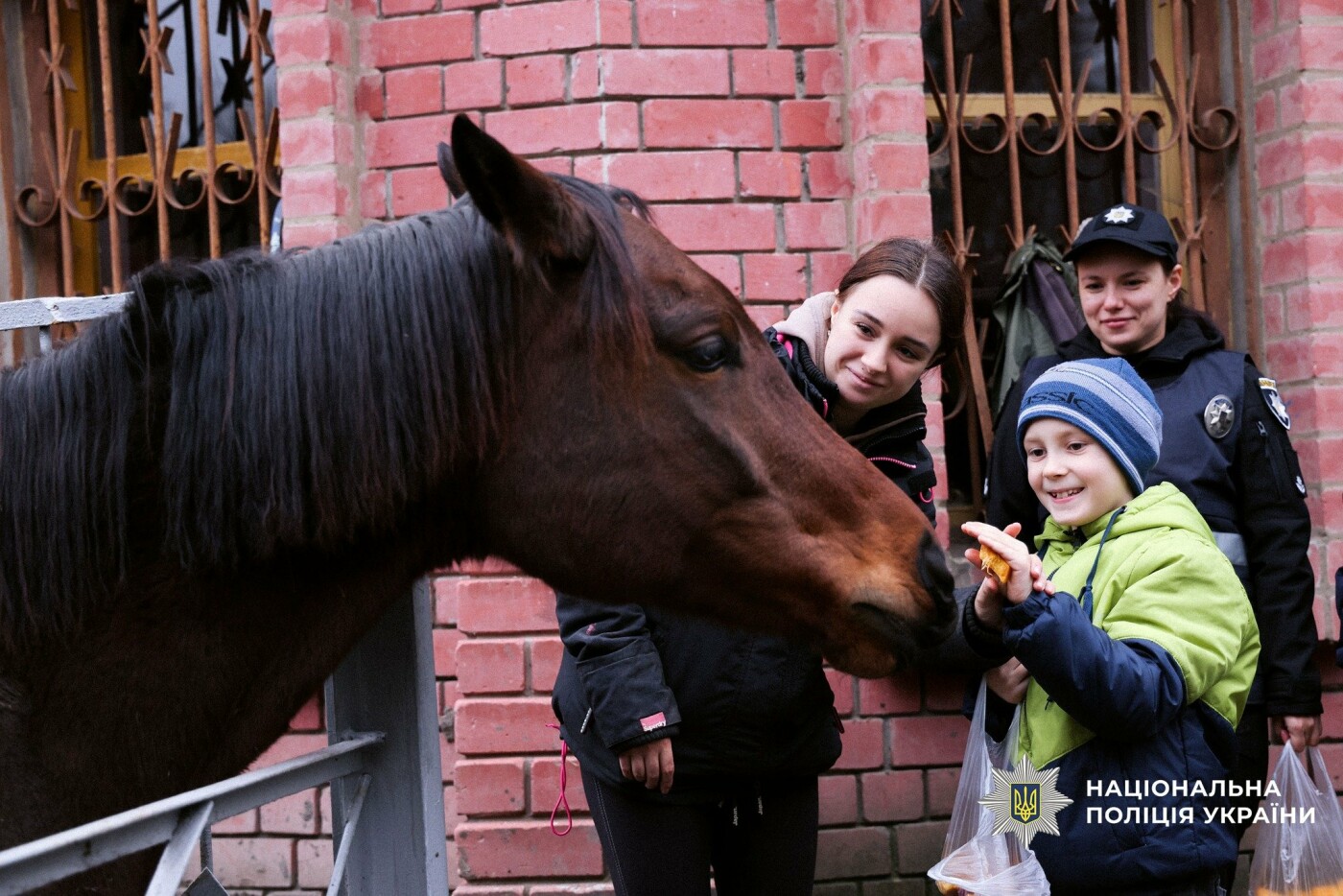 Захід у кінному клубі