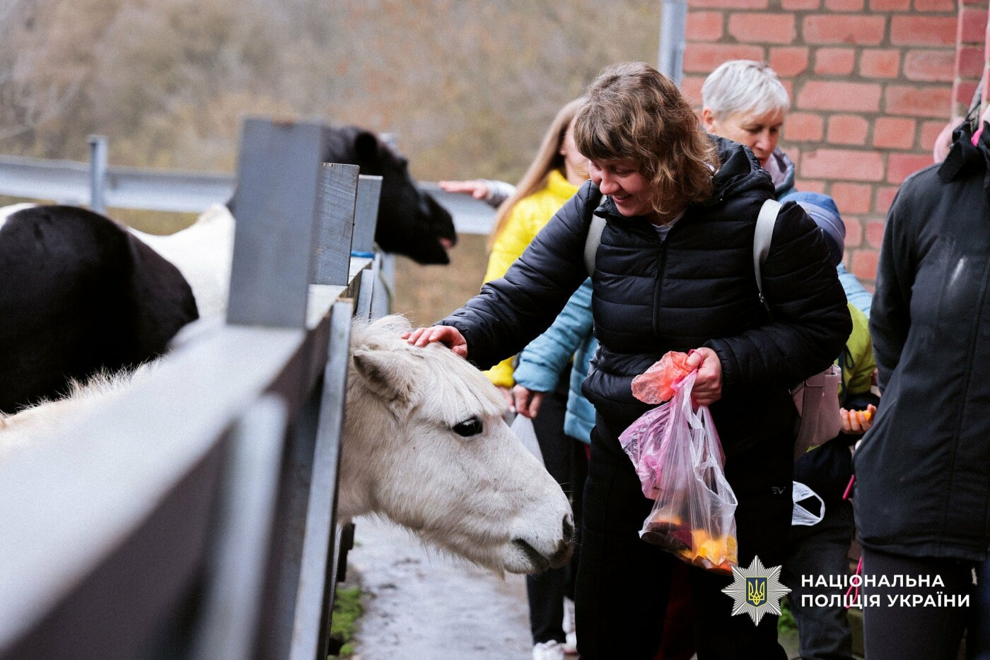 Захід у кінному клубі