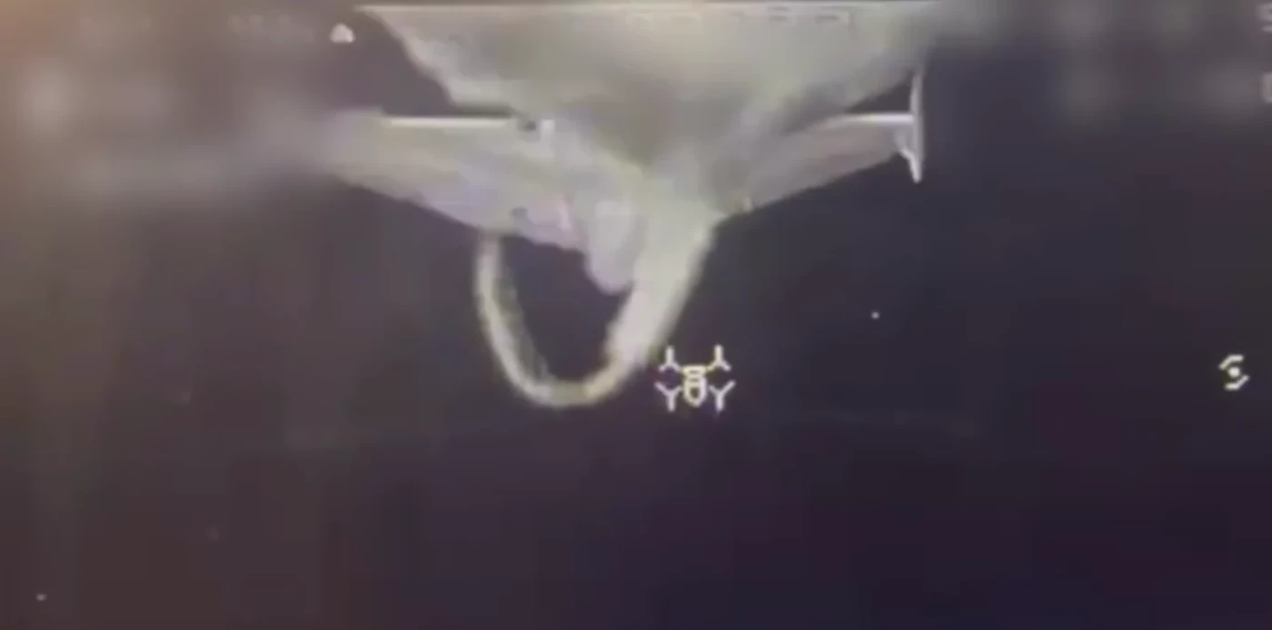 Shahed 136 у прицілі дрона-перехоплювача Sting («Жало»). Стоп-кадр з відео «Дикі шершні»