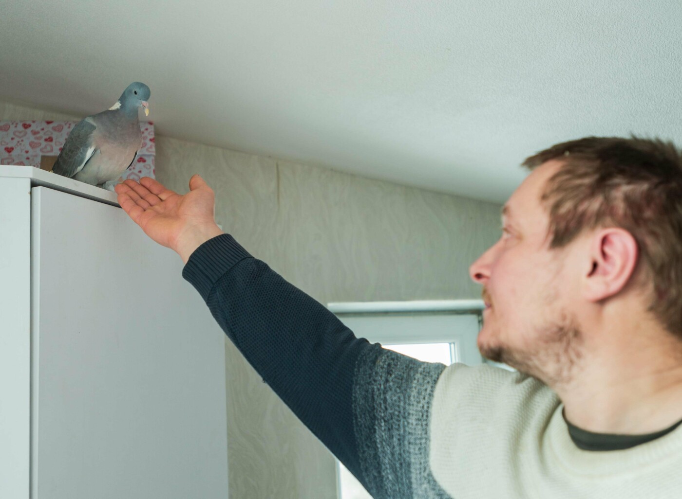 Відновлена літня кухня, в якій мешкала родина