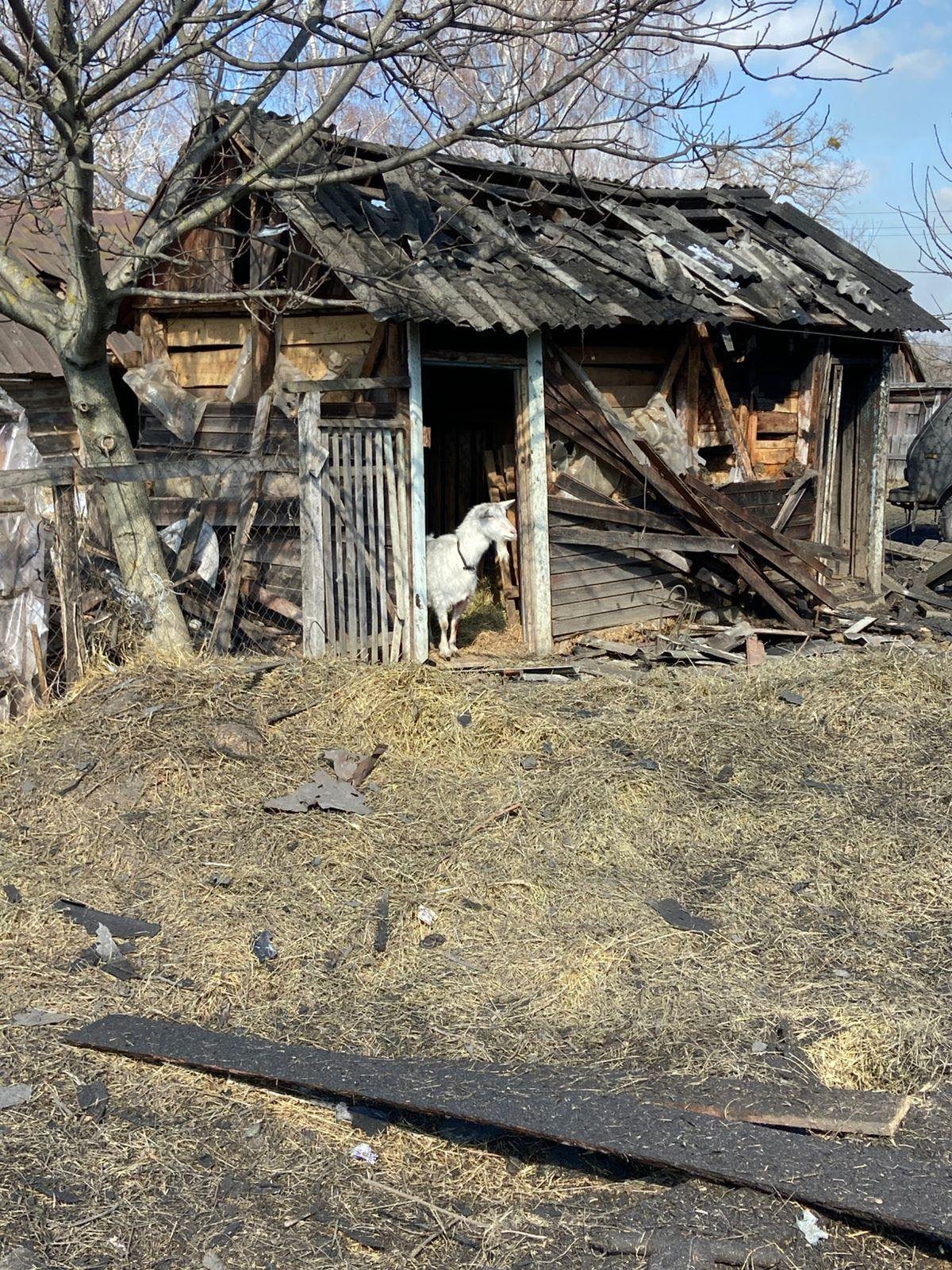 Наслідки ударів безпілотників в селі Черешеньки, Коропської громади на Чернігівщині