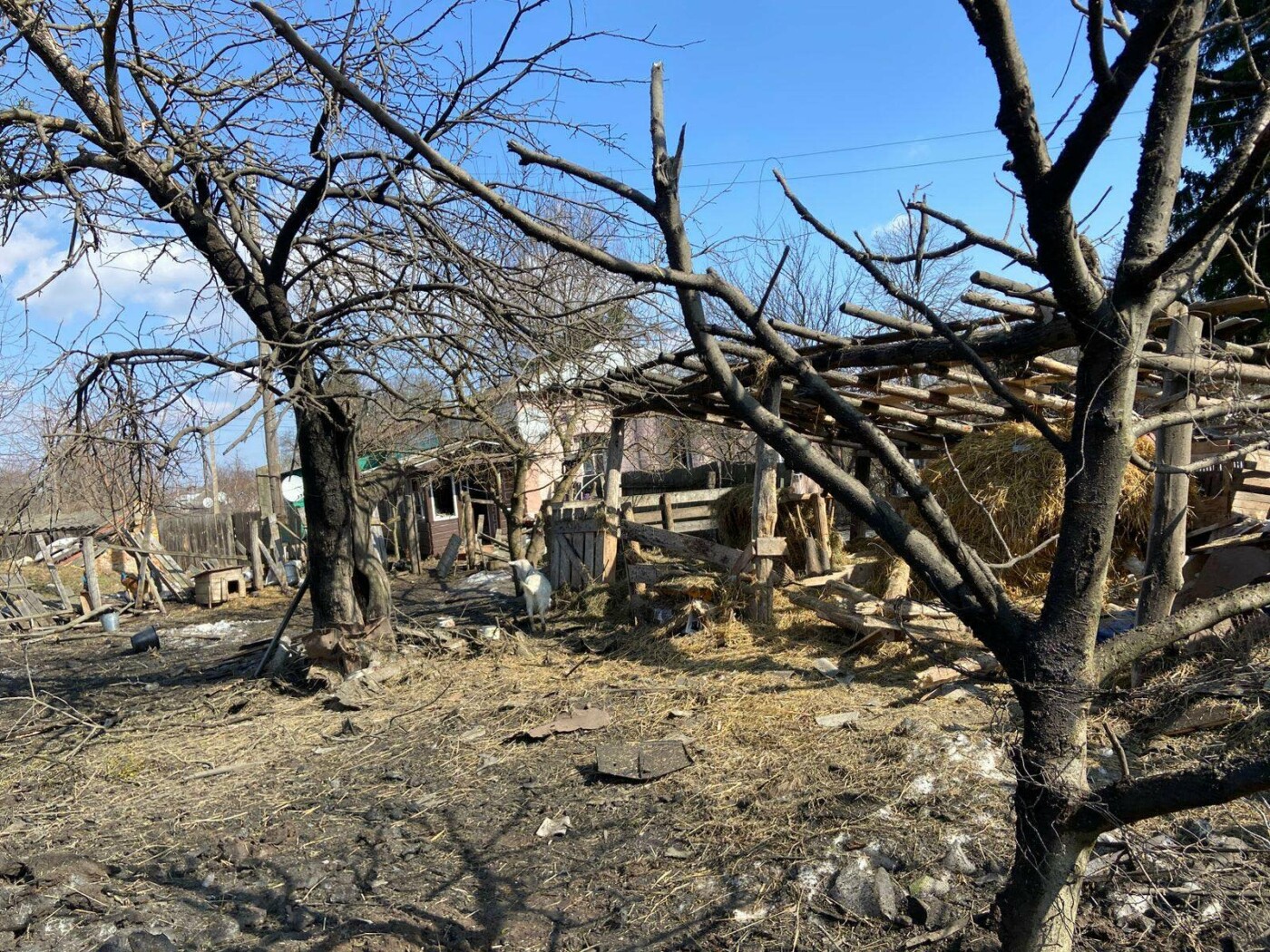 Наслідки ударів безпілотників в селі Черешеньки, Коропської громади на Чернігівщині