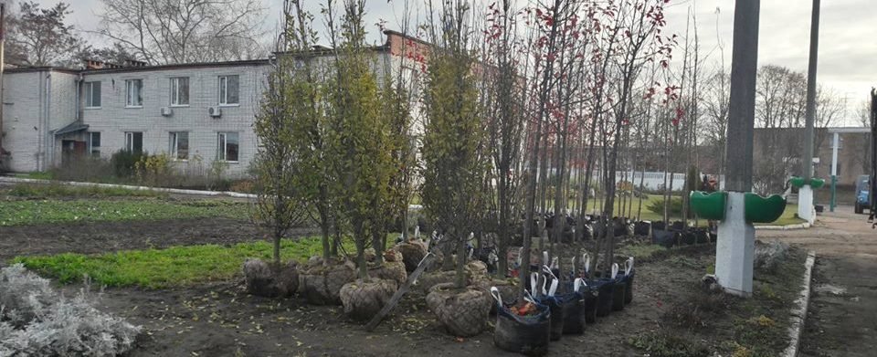 Как лечить пародонтоз в домашних условиях: солью 48 Как лечить пародонтоз в домашних условиях: солью 83