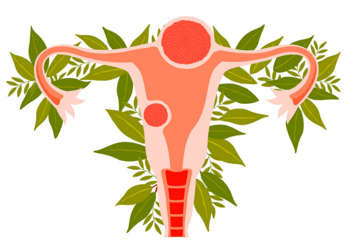 Лапароскопия: Революция в Современной Хирургии - Бізнес новини Чернігова