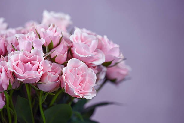 доставка квітів Київ