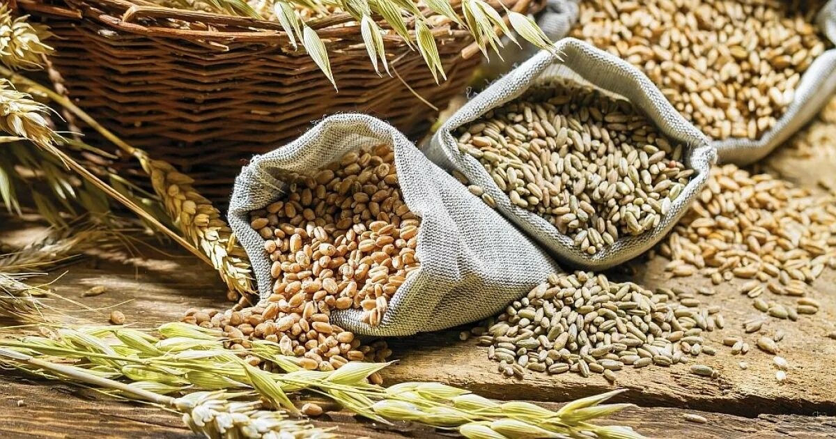 AgroMarket UUB