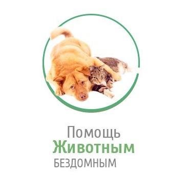 Зооволонтеры Чернигова